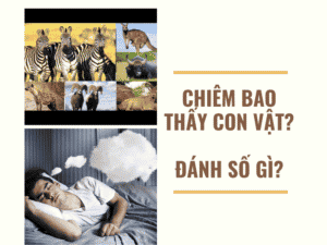 chiêm bao thấy con vật có ý nghĩa gì