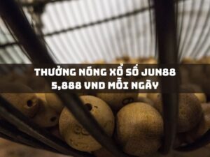 thuong nong xo so jun88 5888 vnd moi ngay