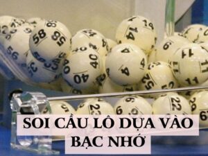 soi cau lo dua vao bac nho