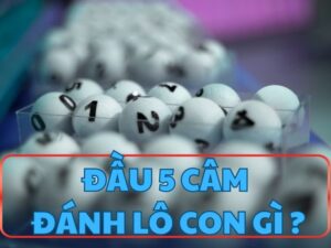 dau 5 cam danh lo con gi